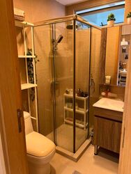 Bellezza @ Katong (D15), Apartment #445242911